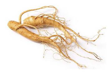 ginseng